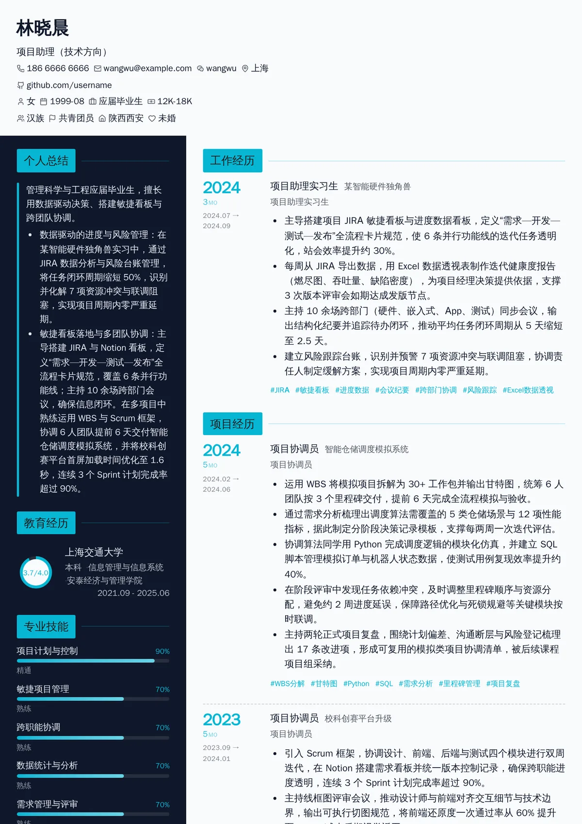 2026年最新项目助理（技术方向）简历模板